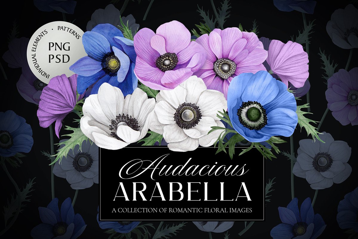 Audacious Arabella, a Decorative Illustration by Dana Designs (Photo 1 of 15)
