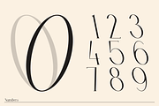 Peskia - Variable Font Family, a Serif Font by Valentino Vergan (Thumbnail 9 of 15)
