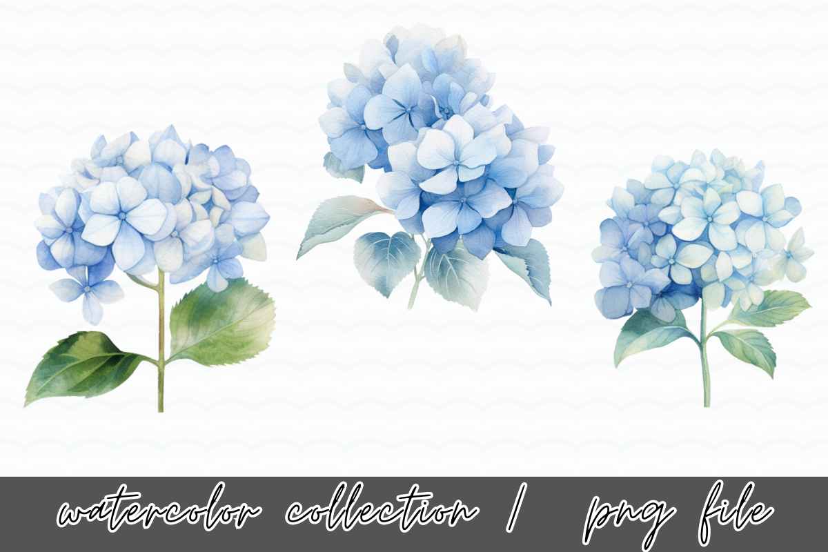 Hydrangea Flowers Watercolor Clipart, an Illustration by SindyPrintDesign (Photo 3 of 4)