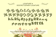 Brights Diamond + EXTRAS, a Script Font by SusiType (Thumbnail 8 of 12)