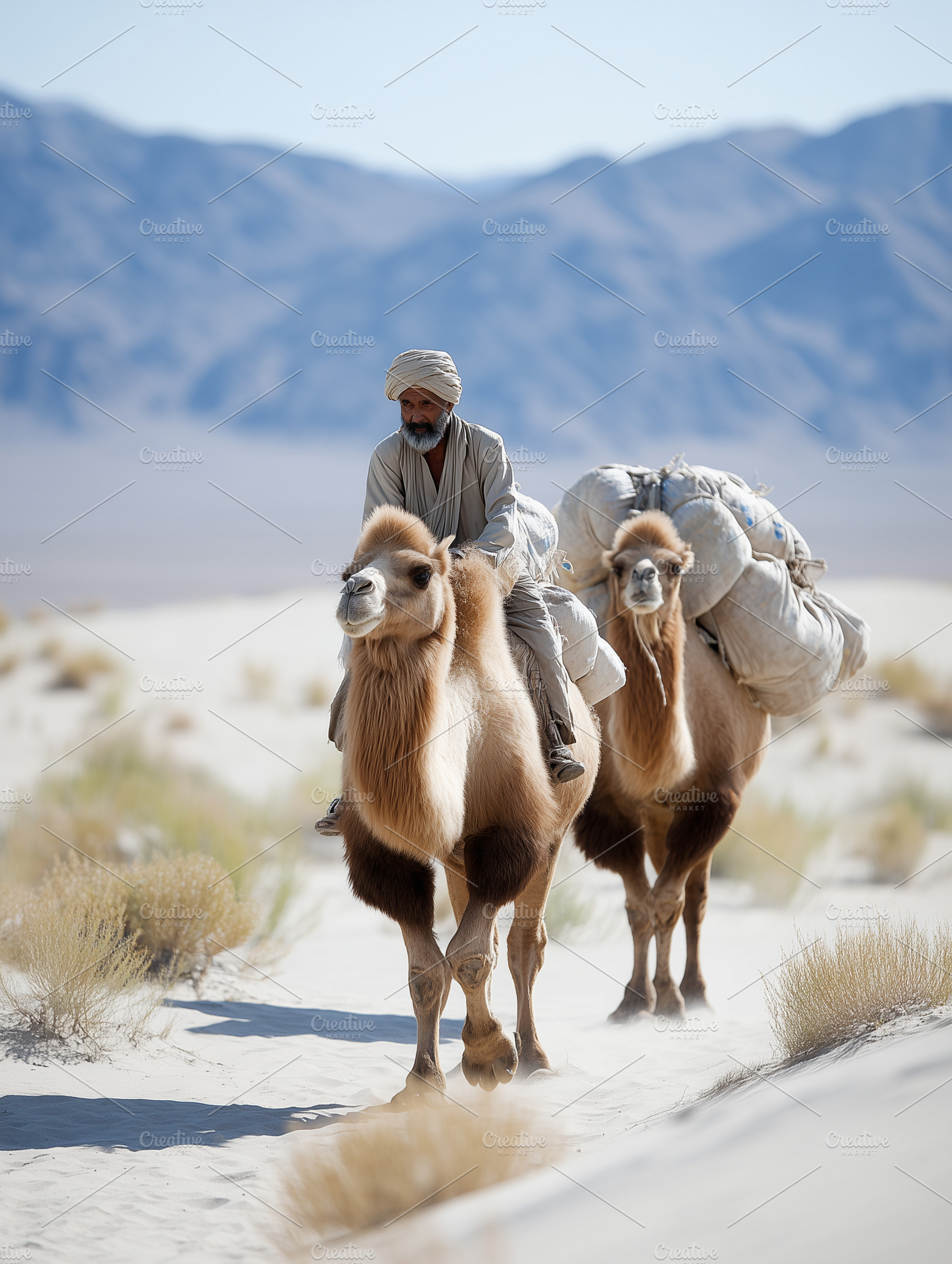 Desert nomad riding a camel caravan, an Animal Photo by MistyDay