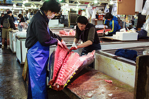 Tsukiji fish market in Tokyo, a Food & Drink Photo by BOOCYS