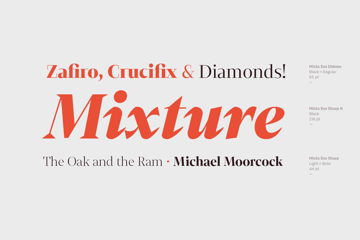 Mixta Essential, a Serif Font by Latinotype (Photo 14 of 14)