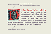 Tractatus Medieval initials font, a Blackletter Font by kaer_shop (Thumbnail 2 of 9)