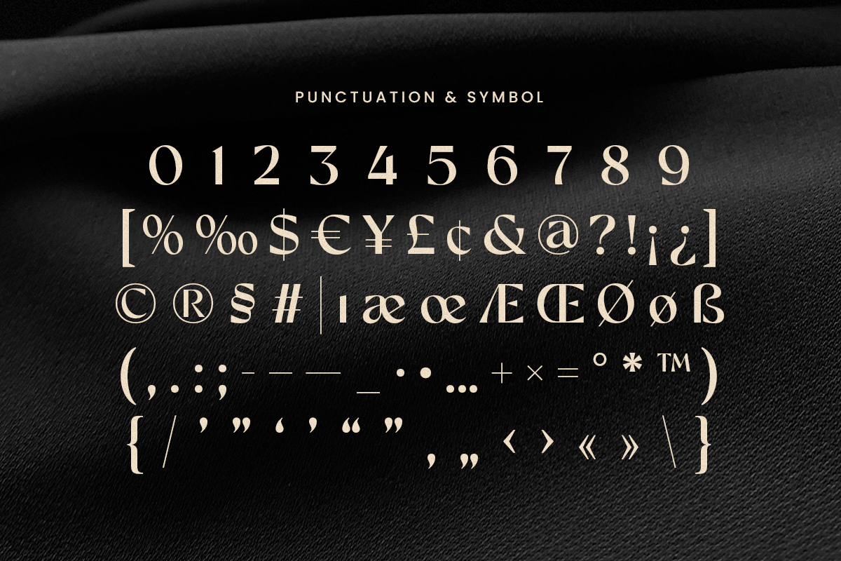 Sooner - Minimalist Luxury Logo Font, a Sans Serif Font by Sensatype (Photo 12 of 13)