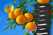 Gouache Zen Illustrator Brushes, a Brush Add-On by brushapes.com (Thumbnail 6 of 10)