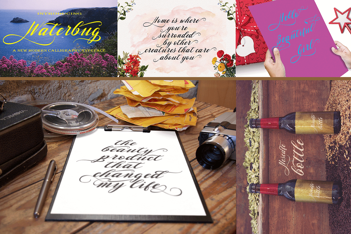 THE COLLECTION BUNDLE, a Script Font by danti (Photo 31 of 31)