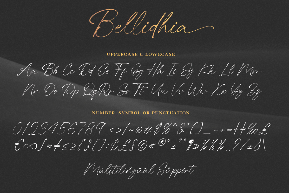 Bellidhia - Handwriting Font, a Handwritten Font by ianmikraz (Photo 6 of 8)