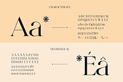 Elegant Ligature Serif Font, a Serif Font by Bekeen.co (Thumbnail 10 of 10)