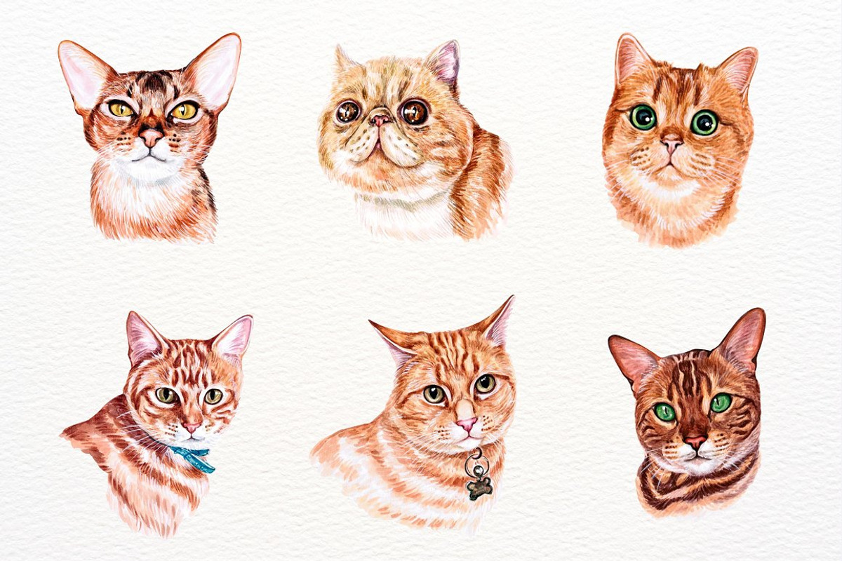 39 Realistic Watercolor Cat Portrait, an Animal Illustration by ArtbyHien (Photo 3 of 8)