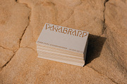Display Font Collection, a Slab Serif Font by Tropical Type (Thumbnail 6 of 46)