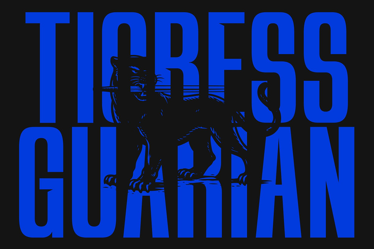 CS Belway – Condensed Font, a Sans Serif Font by Craft Supply Co. (Photo 2 of 8)