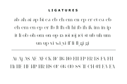 Pelagic Bird - Unique Ligature Font, a Serif Font by Yahya Type (Thumbnail 20 of 22)