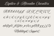 Baliglad – Stylish Calligraphy Font, a Script Font by Honestype (Thumbnail 12 of 12)