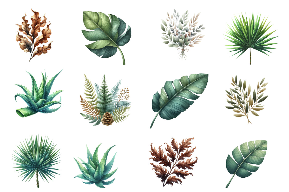 Tropical clipart bundle, an Illustration by Designworld (Photo 4 of 5)