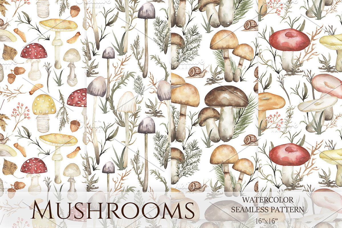 Watercolor Mushrooms Collection, an Education Illustration by MayaNavits (Photo 8 of 14)