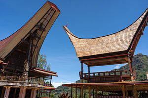 Traditional Toraja village and tongkonan houses in Sulawesi, Ind, an Architecture Photo by GoodGoods