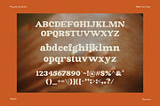 Fallen Tree | Retro Serif, a Serif Font by ClevUs (Thumbnail 10 of 12)