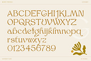 Bjork Serif, a Serif Font by CCS-Type.com (Thumbnail 28 of 30)