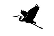 50 Heron Crane Silhouette Bundle, an Illustration by Amazin_art (Thumbnail 24 of 39)
