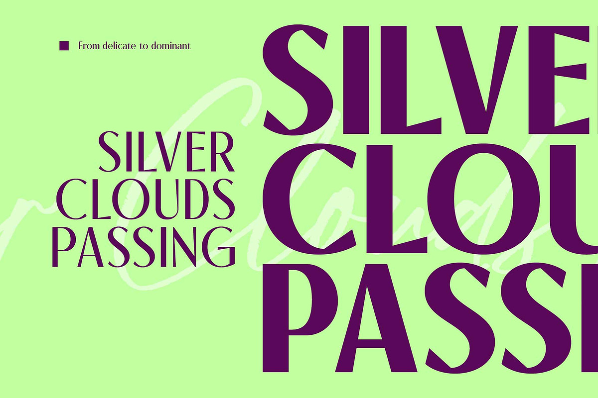 Mavion - Display Sans Family, a Sans Serif Font by Novitype (Photo 2 of 13)
