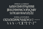 Resquel Elegant Editorial Serif Font, a Serif Font by Heinzel Std (Thumbnail 8 of 21)