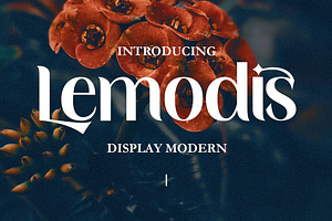 Lemodis Display