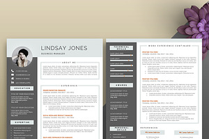 Professional Resume/CV Template.