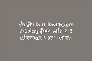 Delfin Handwritten Display Font