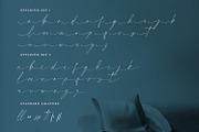 Pantheon Signature, a Script Font by din-studio.com (Thumbnail 10 of 10)