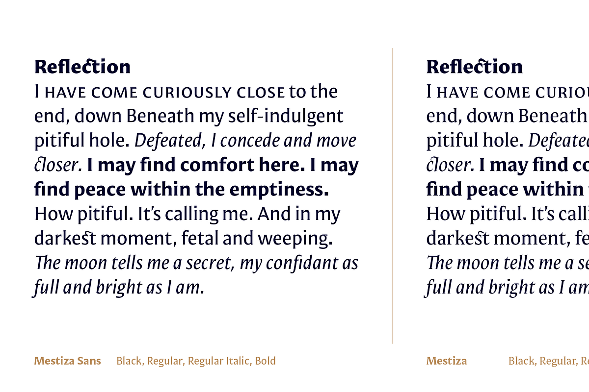 Mestiza Sans, a Sans Serif Font by Lechuga Type (Photo 11 of 19)