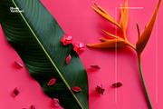 Ikebana Botanical Asset Collection, an Object Graphic by Studio Yorktown (Thumbnail 11 of 15)