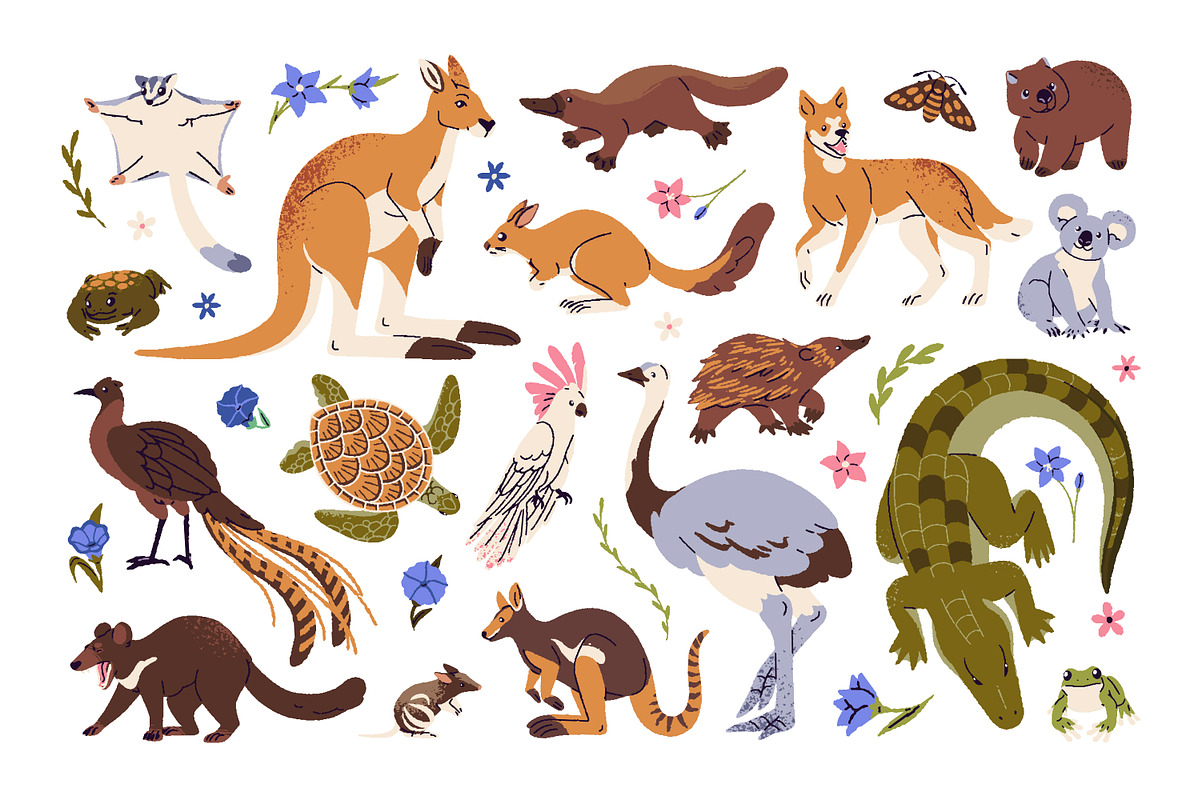 Australian animals and plants set, an Animal Illustration by PaperTrident (Photo 1 of 4)