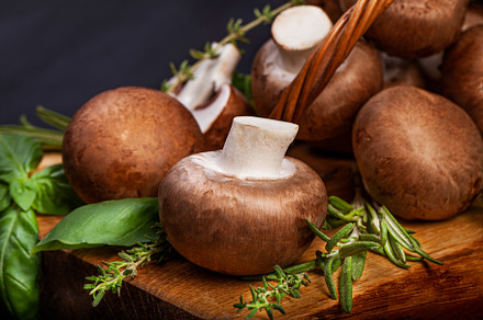 Fresh champignon mushrooms on dark wooden table, a Food & Drink Photo by eleana