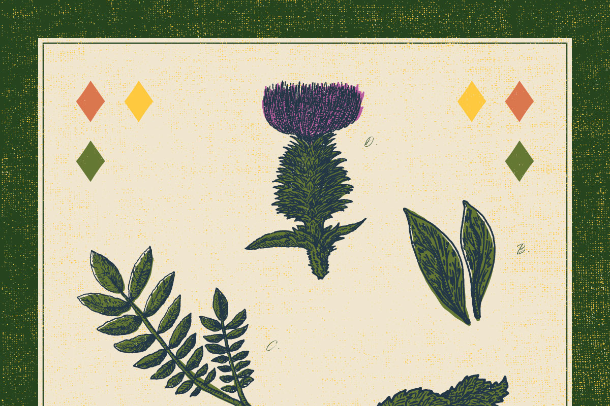 Old Style Medieval Heraldic Symbols, an Object Illustration by bloomjackbloom (Photo 5 of 5)