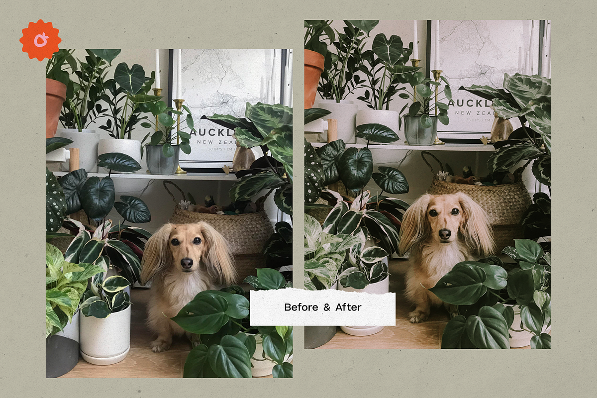 8 Jardin Lightroom Presets, a Preset Add-On by SHOOM HOUSE (Photo 9 of 15)