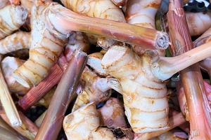 Galanga or Greater galangal pile, a Food & Drink Photo by ArtBackground