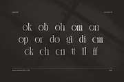 Moking Elegant Serif Font, a Serif Font by Elegant Font (Thumbnail 8 of 8)