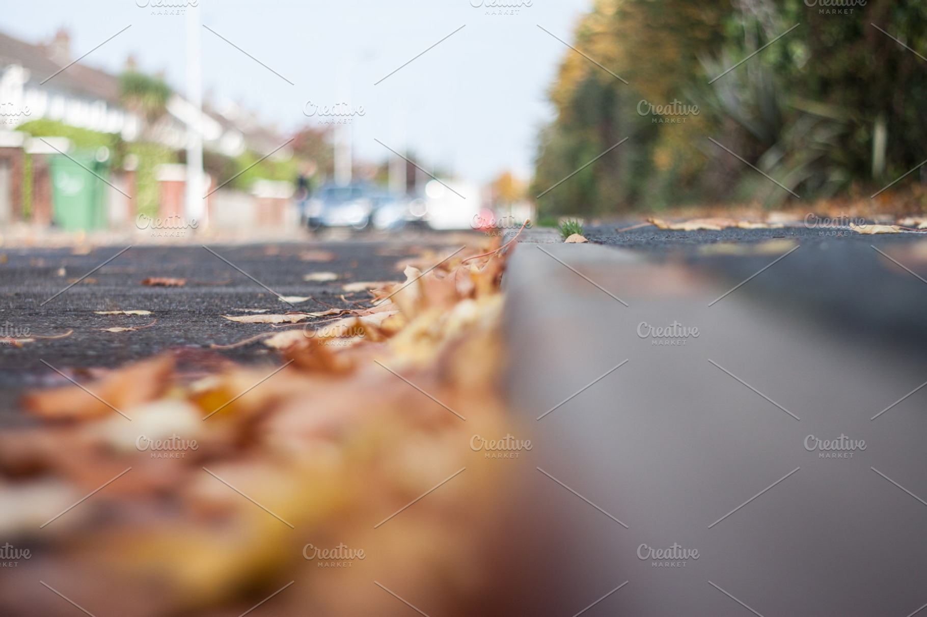 Autumn leaves on road stock photo containing autumn and seasons, a Nature Photo by Noteless Space
