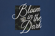 The Lone Muse Romantic Script Font, a Script Font by AnMark (Thumbnail 7 of 11)