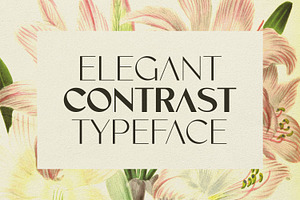 Vonca Font Family