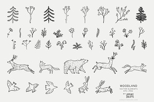 WOODLAND. Wall Mural & Patterns