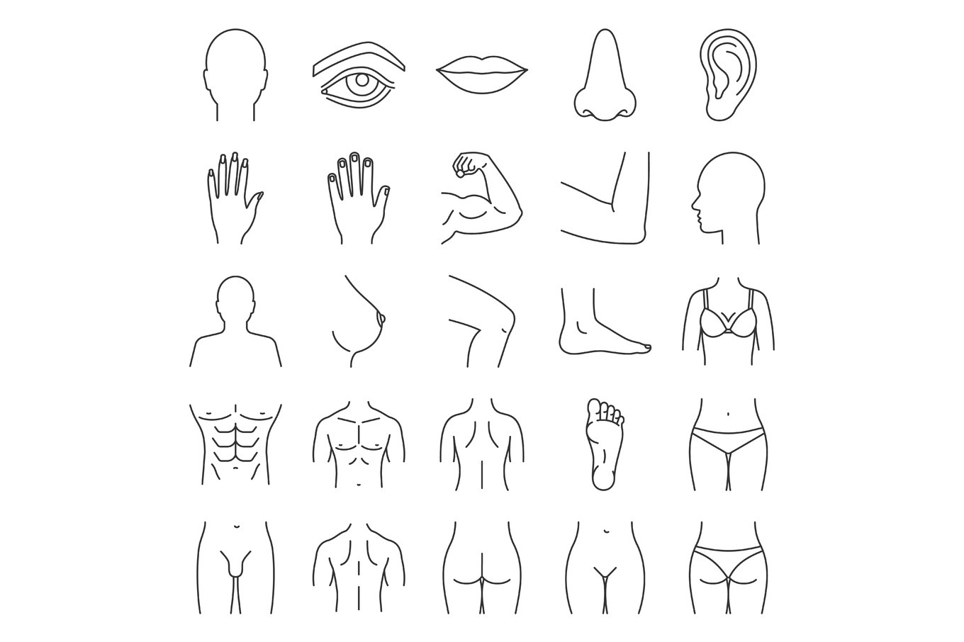 Human body parts linear icons set, an Outline Icon by bsd studio