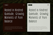 TRT Bird of Feather – Elegant Serif, a Font by truetype (Thumbnail 14 of 15)