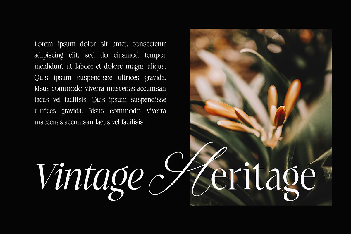 Laught Alize, a Serif Font by Godbless Studio (Photo 2 of 10)
