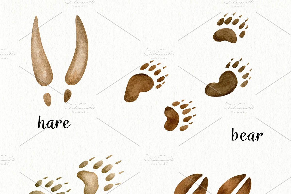 Watercolor Forest Animals Clipart, a Graphic by svetodesign (Photo 12 of 12)