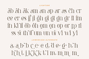 Pastel Orange - Casual Serif Fonts, a Serif Font by HansCo Studio (Thumbnail 10 of 12)