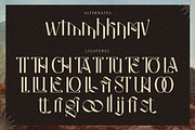 Strooma Retro Display, a Font by Creatype Studio (Thumbnail 8 of 11)