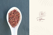 Botanical Hand Drawn Designs, Logos, a Seasonal Illustration by Designwork (Thumbnail 9 of 22)