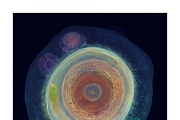 Soma Co. Biomorphic Solargrams, an Education Illustration by milatovar (Thumbnail 18 of 19)